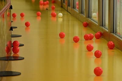 54042073120 8847f76ba2 w