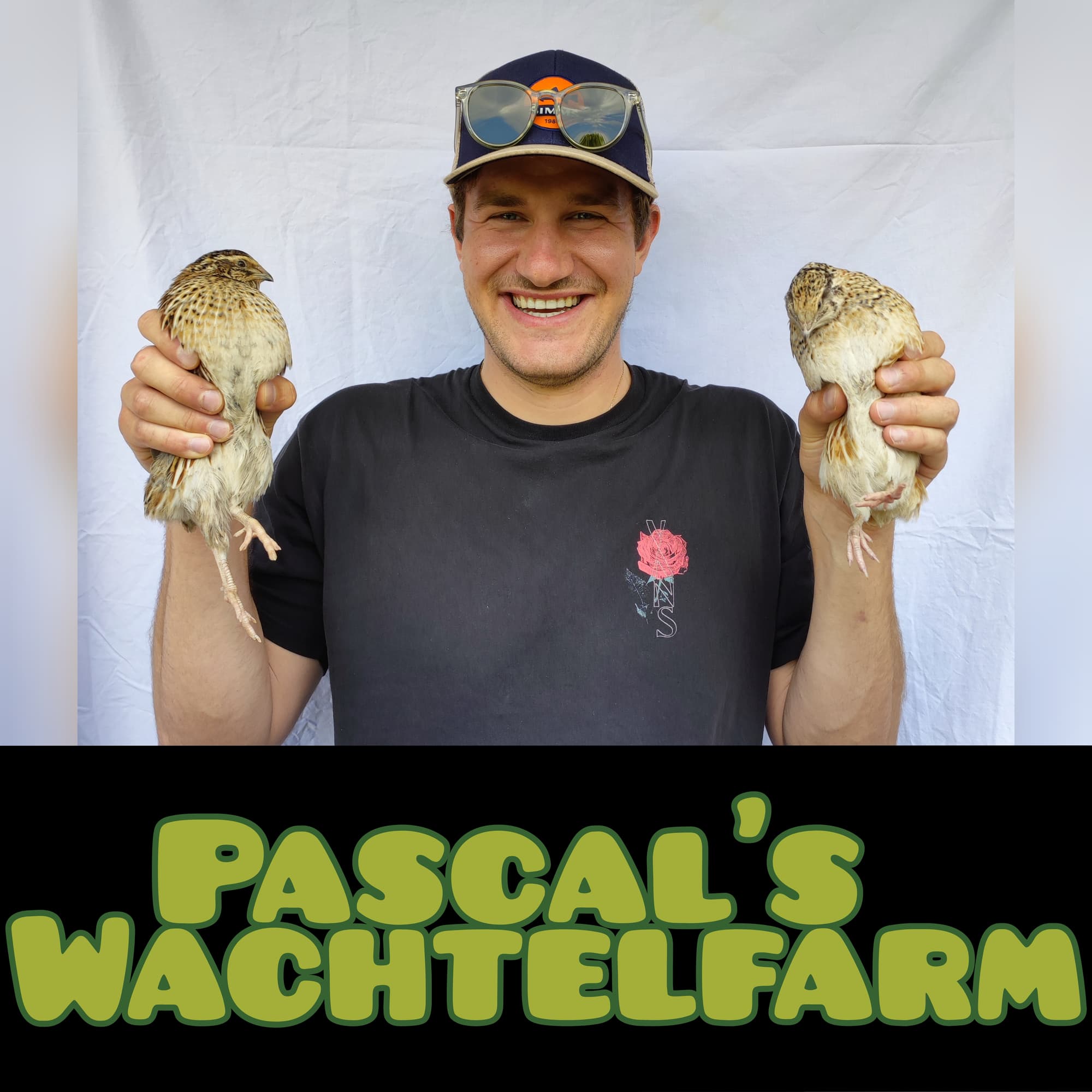 Holdis Wachtelfarm